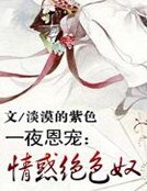 一夜恩宠:情惑绝色奴