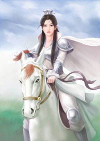 曹賊