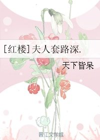 （红楼同人）[红楼]夫人套路深.