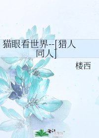 貓眼看世界--[獵人同人]